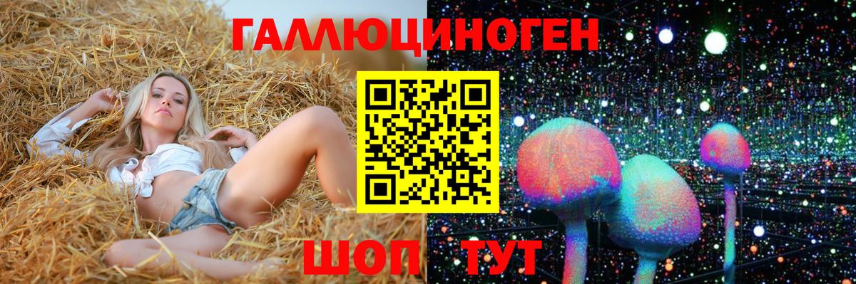 Псилоцибиновые грибы Psilocybine cubensis  Вход с VPN  Галлюциногенные грибы GOLDEN TEACHER  где купить наркоту  Алексин 